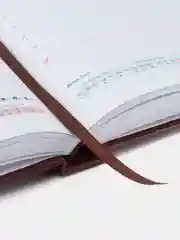 Ежедневник датированный 2025 Galant, планер, планинг, записная книжка А5, под кожу