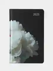Ежедневник датированный 2025 Brauberg, планер планинг записная книжка А5, под кожу