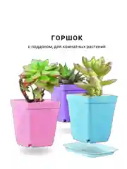 Горшок мини, 6,8 х 7см,  8 штук. для суккулентов, рассады, с поддоном