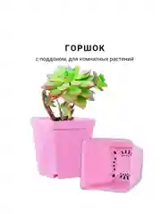 Горшок мини, 6,8 х 7см,  8 штук. для суккулентов, рассады, с поддоном