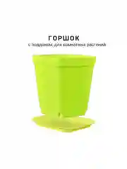 Лайм горшок мини, 6,8 х 7см,  8 штук. для суккулентов, рассады, с поддоном
