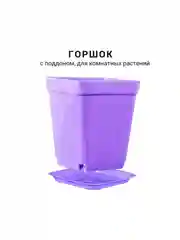 Фиолетовый горшок мини, 6,8 х 7см,  8 штук. для суккулентов, рассады, с поддоном