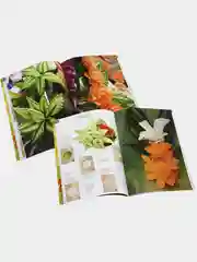 Набор для карвинга Borner и книга Карвинг Мастер-класс