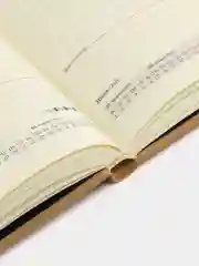 Ежедневник датированный 2025 Brauberg, планер планинг записная книжка А5, под кожу
