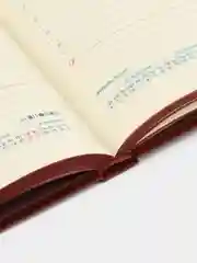 Ежедневник датированный 2025 Galant, планер, планинг, записная книжка А5, под кожу
