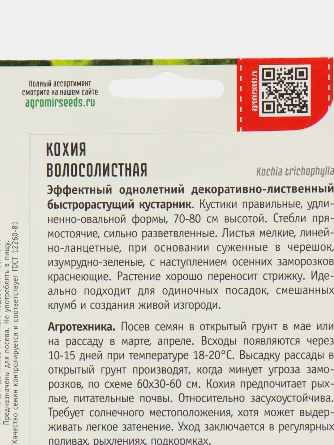 Кохия Волосолистная, семена