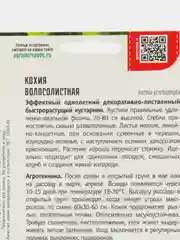 Кохия Волосолистная, семена