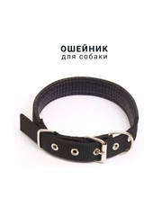Ошейник для собаки