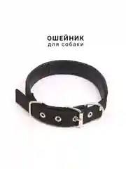 Ошейник для собаки