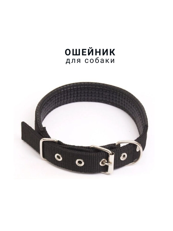Ошейник для собаки