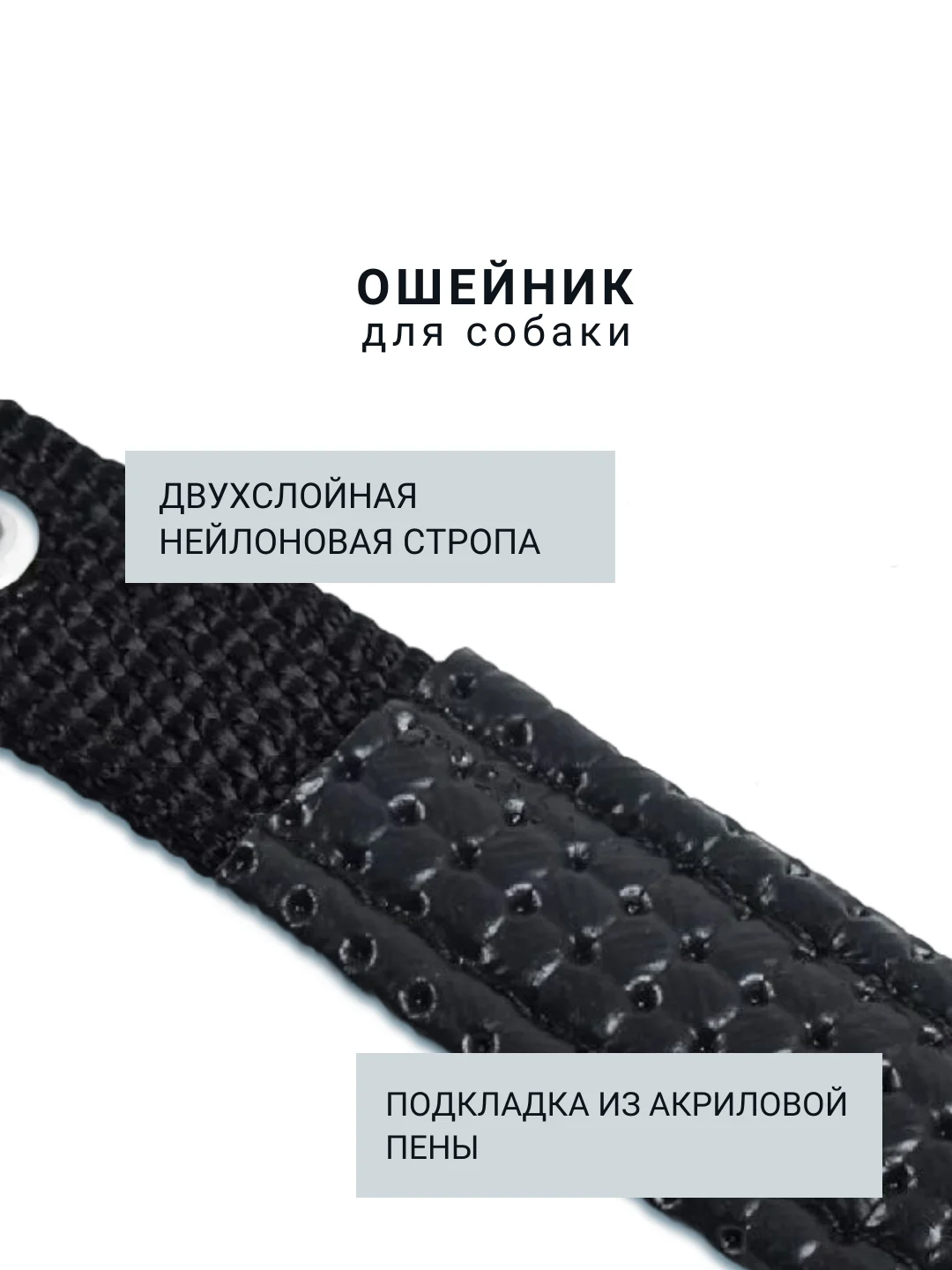 Ошейник для собаки