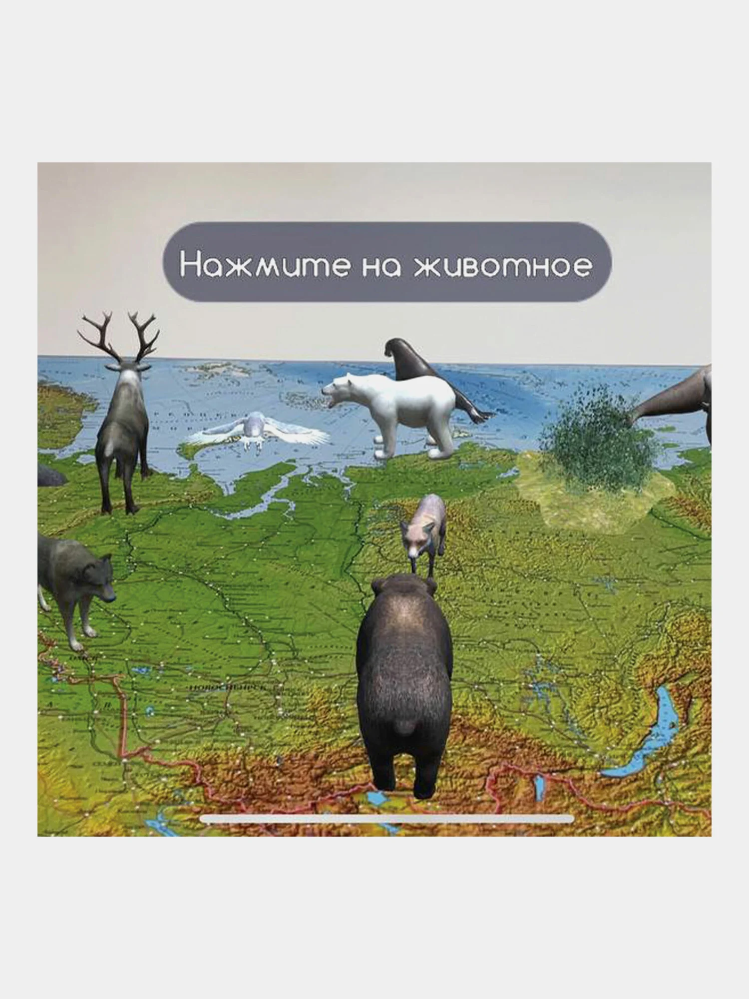 Карта России физическая, настенная, на стену, интерактивная, 116 х 80 см, Brauberg, 112393