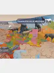Карта России политико-административная настенная, 1:8,5М, интерактивная, Brauberg, 112395