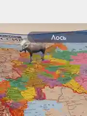 Карта России политико-административная настенная, 1:8,5М, интерактивная, Brauberg, 112395
