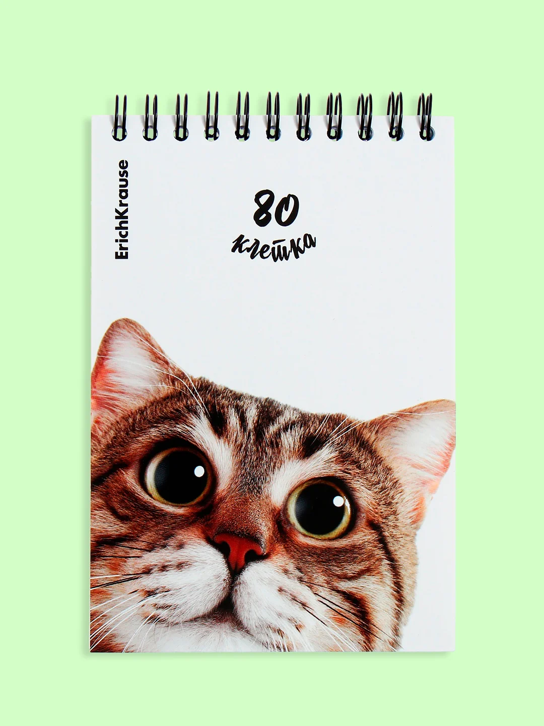 Блокнот/скетчбук/ежедневник/записная книжка/смешбук/кешбук с котиками, котоблокнот