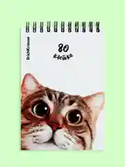 Блокнот/скетчбук/ежедневник/записная книжка/смешбук/кешбук с котиками, котоблокнот