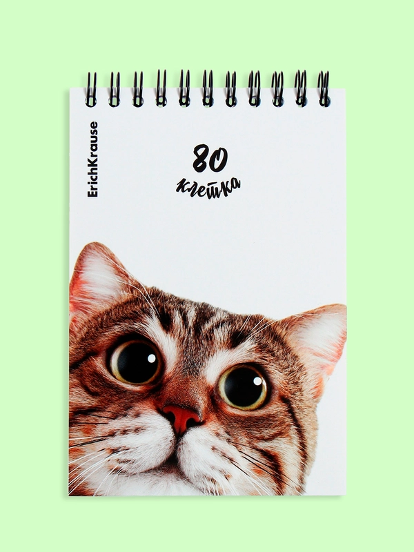 Блокнот/скетчбук/ежедневник/записная книжка/смешбук/кешбук с котиками, котоблокнот