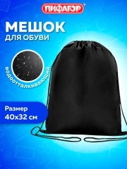Сумка для сменной обуви, мешок для сменки Пифагор, 1 отделение, черный, 271618