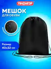Сумка для сменной обуви, мешок для сменки Пифагор, 1 отделение, черный, 271618