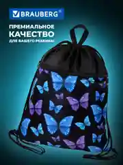 Мешок для обуви Brauberg, сумка для сменки в школу, чехол с петлей, карманом на молнии