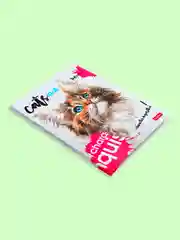 Коричневый блокнот/скетчбук/ежедневник/записная книжка/смешбук/кешбук с котиками, котоблокнот