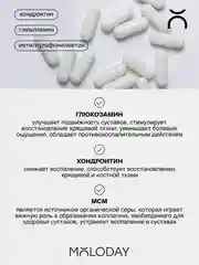 БАД к пище MOLODAY Глюкозамин + Хондроитин + МСМ, 90 капсул
