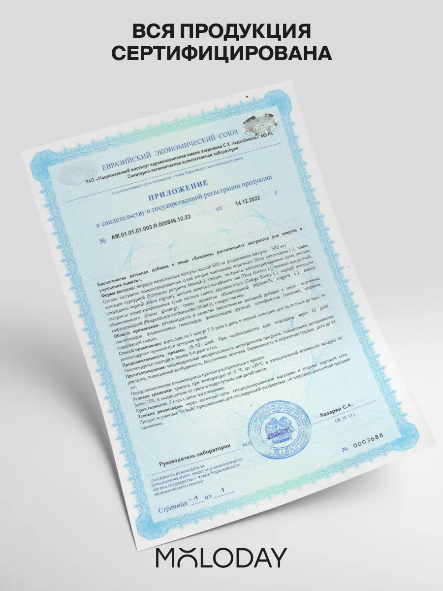 БАД к пище MOLODAY Ноотроп "Brain Health", 90 капсул