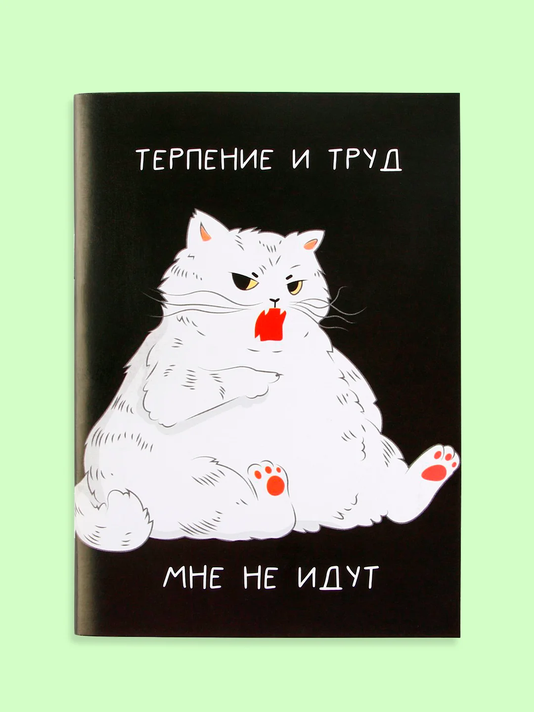 Ледяной блокнот/скетчбук/ежедневник/записная книжка/смешбук/кешбук с котиками, котоблокнот