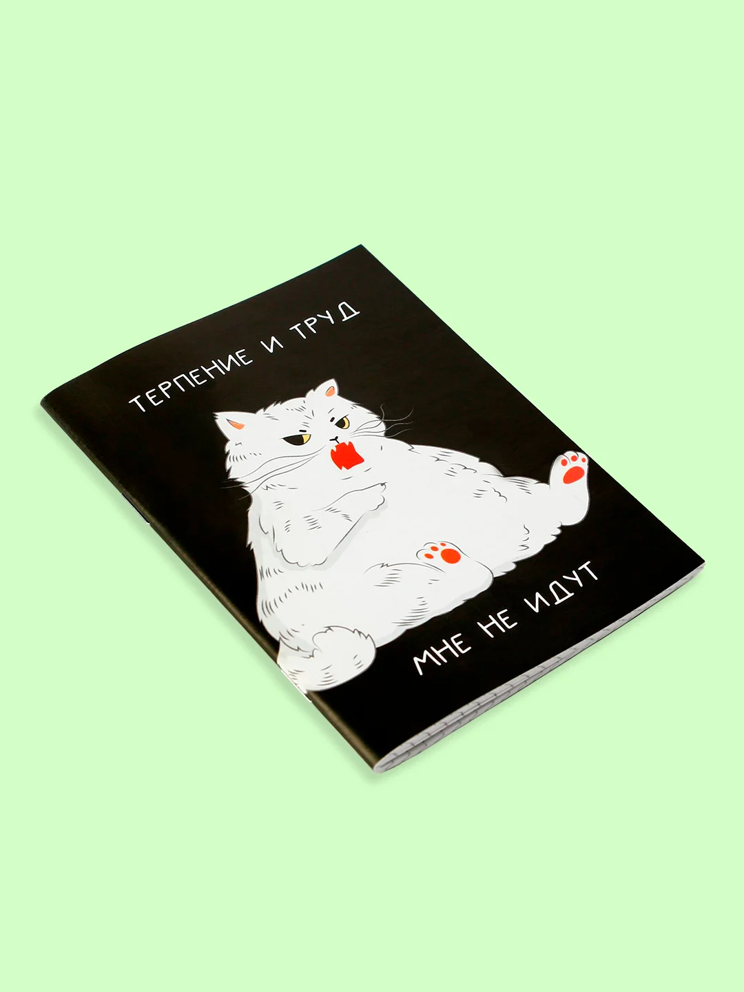 Ледяной блокнот/скетчбук/ежедневник/записная книжка/смешбук/кешбук с котиками, котоблокнот