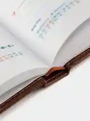 Ежедневник датированный 2025 Galant, планер, планинг, записная книжка А5, под кожу