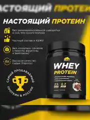 Протеин сывороточный PRIMEKRAFT Whey Protein, 450 г, 15 порций