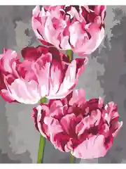 Пионы Арт Картина по номерам на холсте с подрамником 40х50 "Hobby Paint"