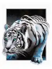 Белый тигр Алмазная мозаика на подрамнике 40х50 "Art on Canvas"