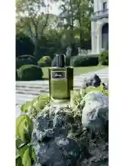 Brioni Essential парфюмерная вода мужская 100 мл