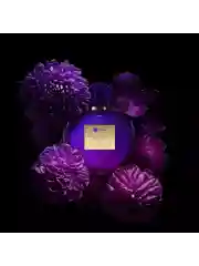 Banderas Her Secret Desire туалетная вода женская 80 мл
