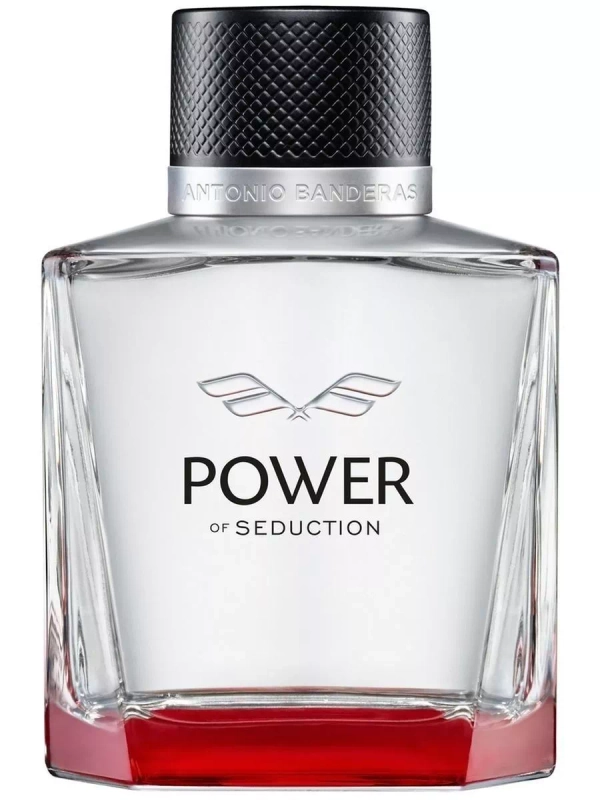 Banderas Power Of Seduction туалетная вода мужская 100 мл