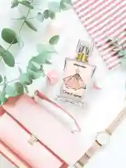 Dress To Impress In Shine 50 мл Туалетная вода