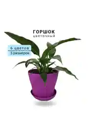Горшок с поддоном