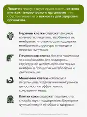 Лецитин подсолнечный RestartBio, 1000 мг, 90 капсул