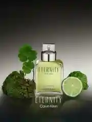 Туалетная вода Calvin Klein Eternity Man, для мужчин, 50 мл