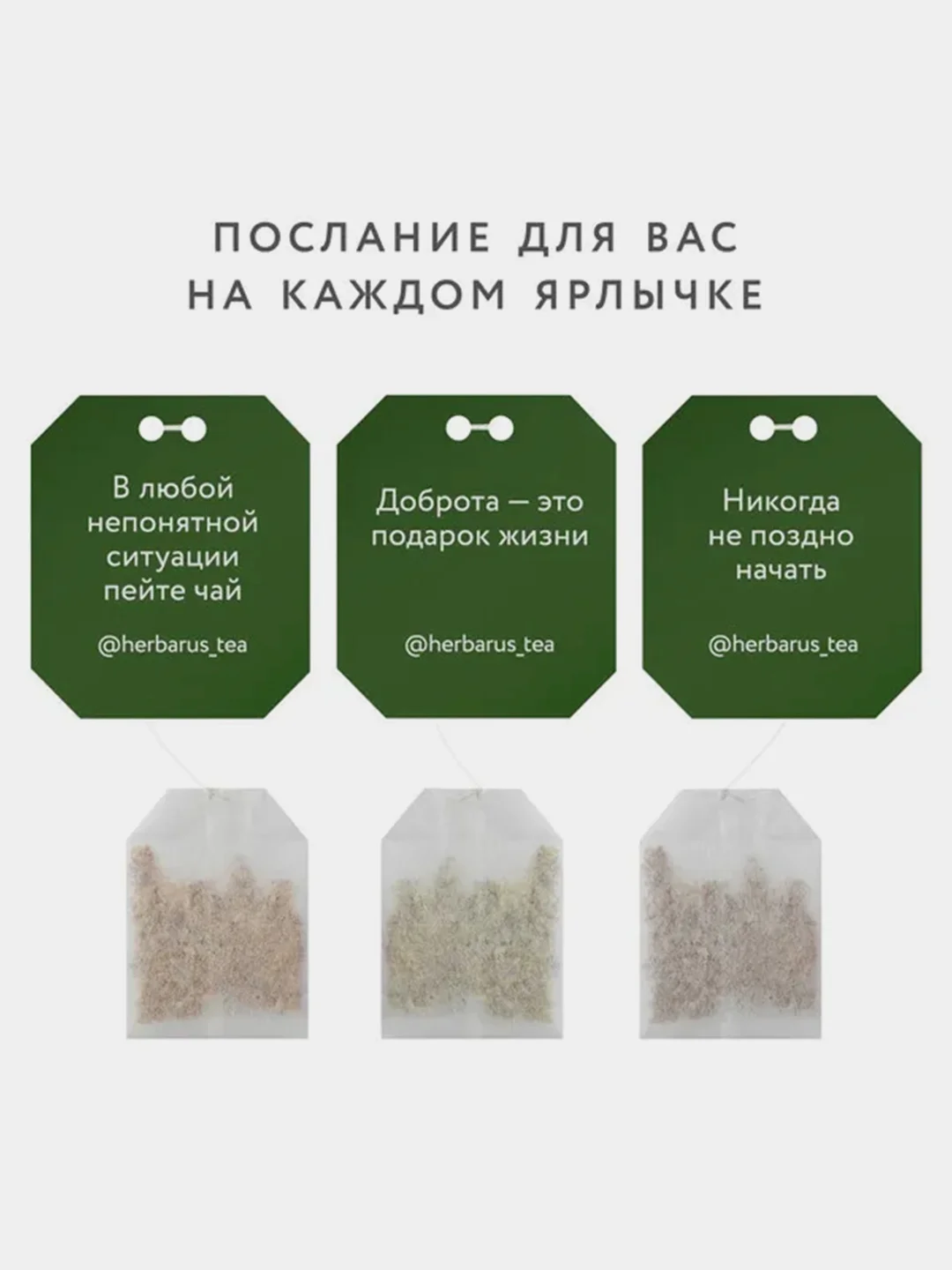 Чай черный Herbarus "Английский завтрак", 24 пакетика