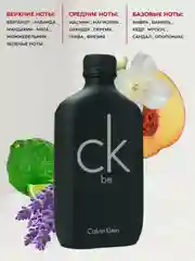 Calvin Klein Be EdT 100 мл, туалетная вода унисекс
