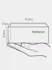 Чайный напиток Herbarus "Детокс Молодость", травы и ягоды, 24 пакетика
