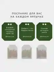 Чайный напиток Herbarus "Детокс Молодость", травы и ягоды, 24 пакетика