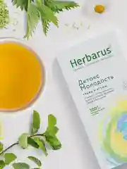 Чайный напиток Herbarus "Детокс Молодость", травы и ягоды, 24 пакетика