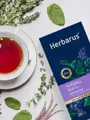 Чай черный с добавками Herbarus "Чабрец. Мята", 24 пакетика