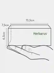 Чайный напиток Herbarus "Ассорти", 24 пакетика