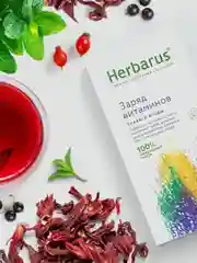 Травяной чайный напиток Herbarus "Заряд витаминов", 24 пакетика