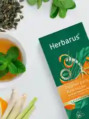 Чай зеленый и улун Herbarus "Лемонграсс. Апельсин", с ароматными травами, 24 пакетика