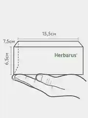 Чайный напиток Herbarus "Имбирная Энергия", 24 пакетика